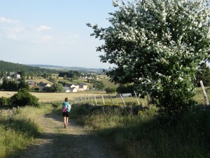 Chemin de Saint-Jacques de Compostelle