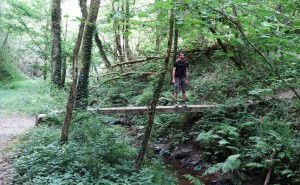 Pont en forêt sur le Chemin de Compostelle