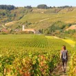 Autour de Chablis : Préhy & Irancy