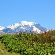 Le Tour du Beaufortain en 5 à 7 jours