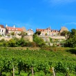 La Basilique de Vézelay et sa cité médiévale