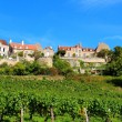 Les cités médiévales de Vézelay & Noyers-sur-Serein